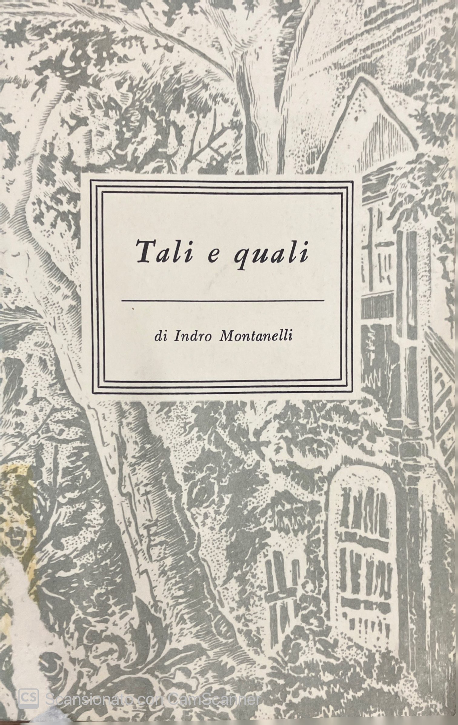 TALI E QUALI